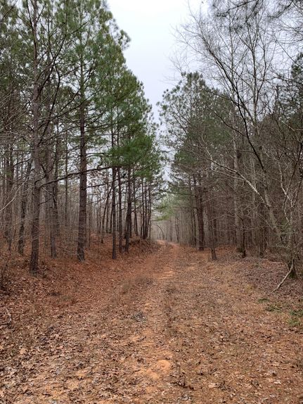 Property for sale in Randolph County, Alabama