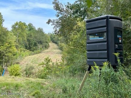 Property for sale in Yazoo County, Mississippi