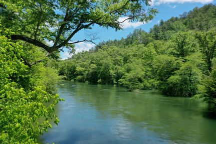 Waterfront Property for sale in Polk County, Tennessee