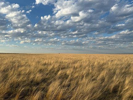 Property for sale in Phillips County, Montana