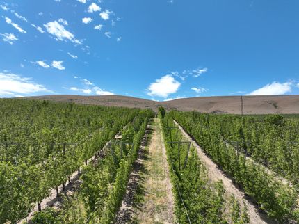 Property for sale in Yakima County, Washington