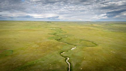 Ranch Property for sale in Golden Valley County, Montana