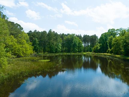 Lakefront Property for sale in West Feliciana Parish, Louisiana