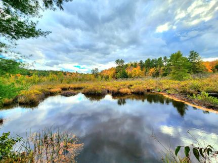 Property for sale in Lewis County, New York