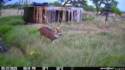 Property for sale in Coke County, Texas