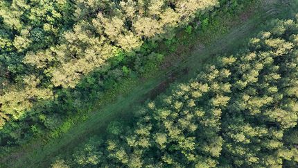 Recreational Property for sale in Copiah County, Mississippi