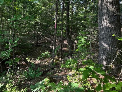 Property in Waldo County, Maine