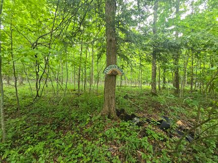 Property in Otsego County, New York