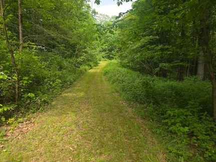 Property for sale in Chenango County, New York