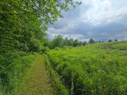 Property for sale in Chenango County, New York