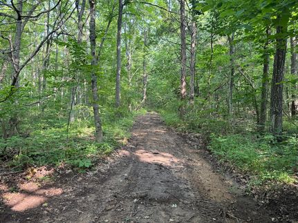 Property for sale in Sainte Genevieve County, Missouri