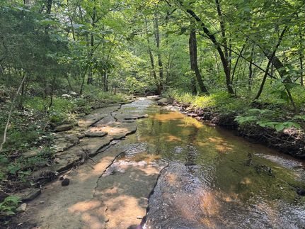 Timberland Property for sale in Sainte Genevieve County, Missouri