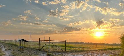 Property for sale in Starr County, Texas