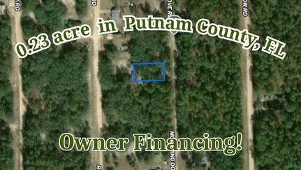Undeveloped Land for sale in Putnam County, Florida