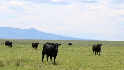 Commercial Property for sale in Las Animas County, Colorado