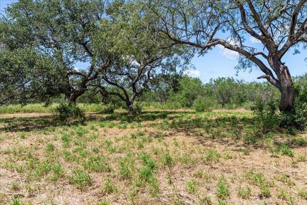 Recreational Property for sale in Bee County, Texas