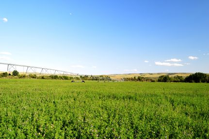 Recreational Property for sale in Washington County, Idaho