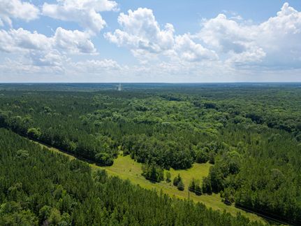 Hunting Land for sale in Houston County, Georgia