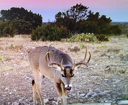 Property for sale in Val Verde County, Texas