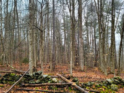 Property in Windham County, Vermont