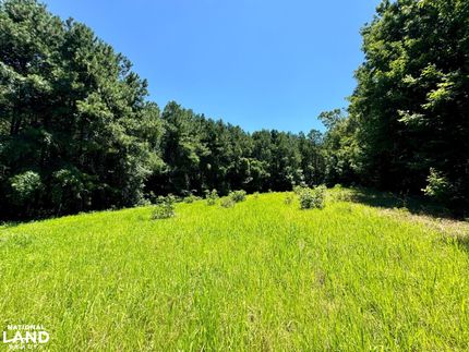 Property in Perry County, Alabama