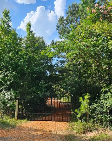 Timberland Property for sale in Lamar County, Mississippi