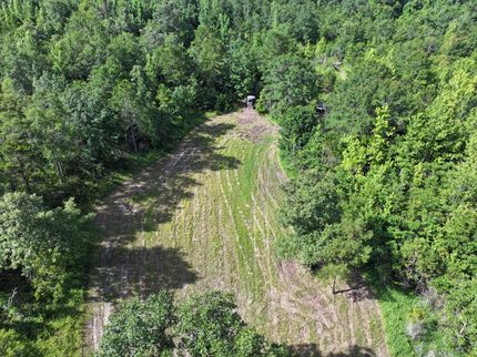 Hunting Land for sale in Lamar County, Mississippi