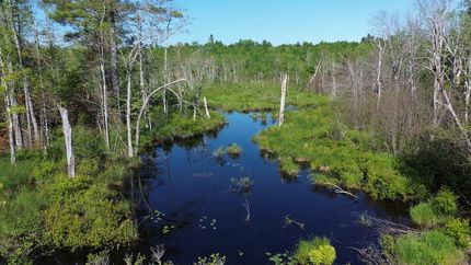 Property for sale in Waldo County, Maine