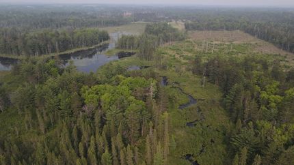 Timberland Property for sale in Crawford County, Michigan