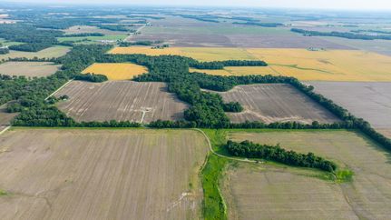 Farm Property for sale in Richland County, Illinois