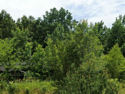 Recreational Property for sale in McCurtain County, Oklahoma