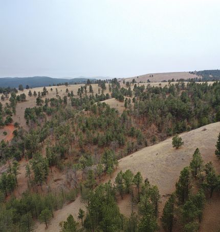 Property in Custer County, South Dakota