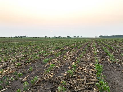 Property in Buchanan County, Iowa