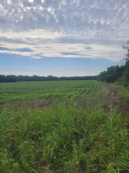 Property for sale in Lamar County, Texas