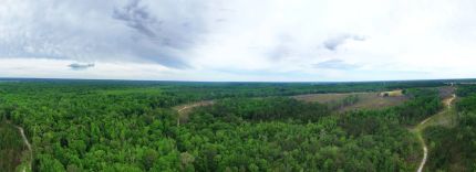 Property in Macon County, Alabama