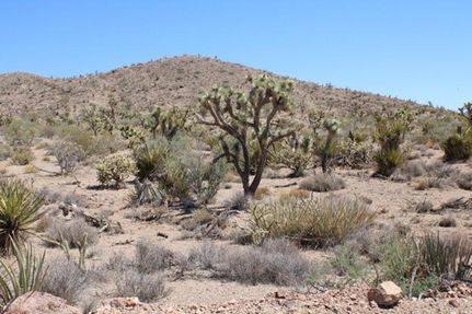 Property for sale in Mohave County, Arizona