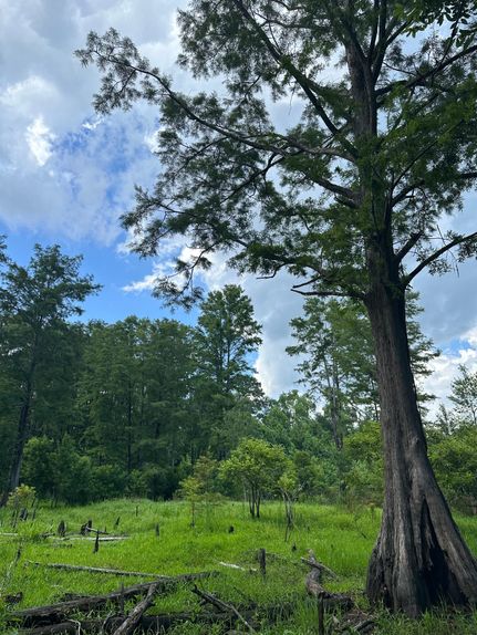 Property for sale in Charleston County, South Carolina