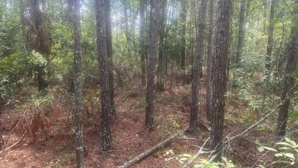 Undeveloped Land for sale in Tattnall County, Georgia