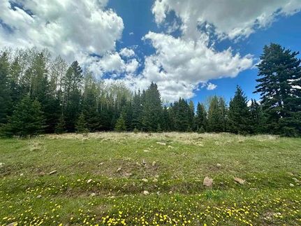 Residential Property for sale in Colfax County, New Mexico