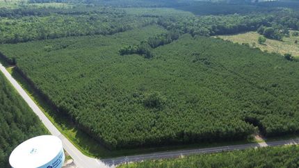 Property for sale in Saluda County, South Carolina