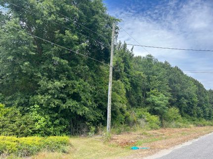 Property for sale in Dillon County, South Carolina