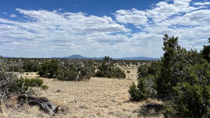 Recreational Property for sale in Catron County, New Mexico