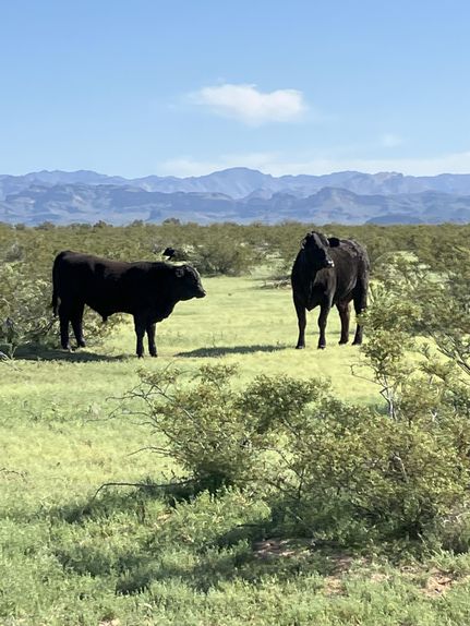 Property for sale in Pinal County, Arizona