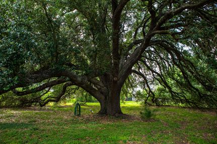 Property for sale in Jim Wells County, Texas