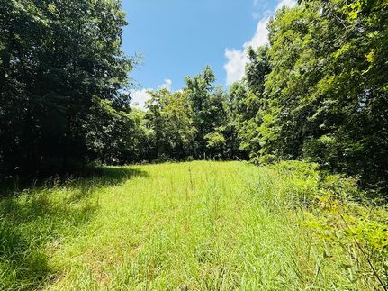 Property in Jefferson County, Mississippi