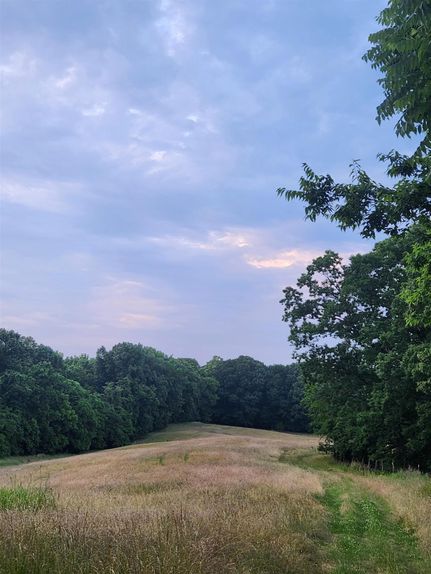 Property for sale in Lauderdale County, Tennessee