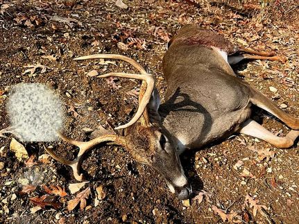 Ranch Property for sale in Perry County, Tennessee