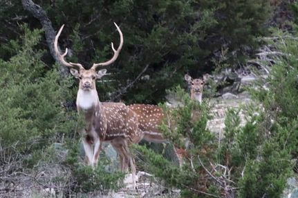 Property for sale in Edwards County, Texas