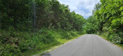 Timberland Property for sale in Wythe County, Virginia