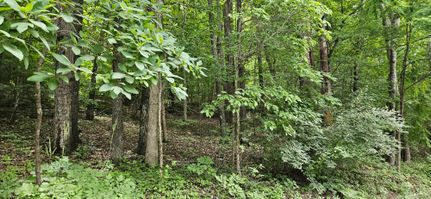 Property for sale in Wythe County, Virginia